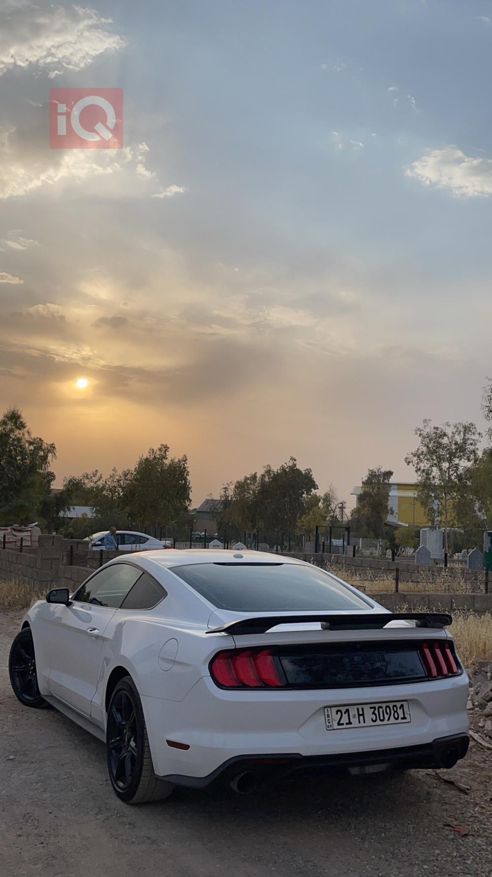 فۆرد مۆستانگ